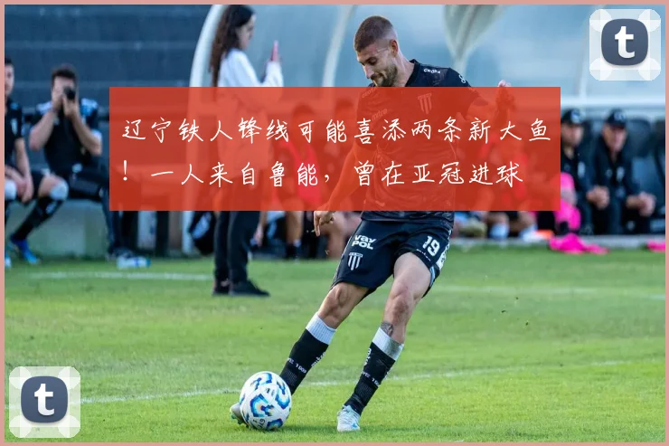 辽宁铁人锋线可能喜添两条新大鱼！一人来自鲁能，曾在亚冠进球